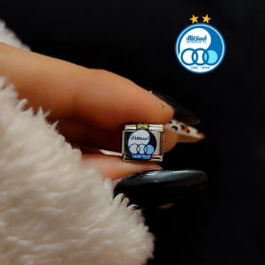 چارم دستبند لوگو استقلال